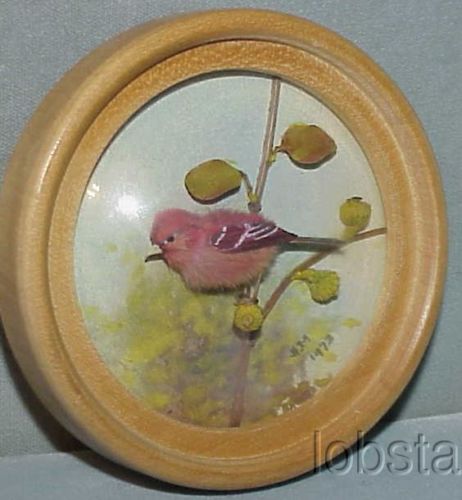 Purple Finch